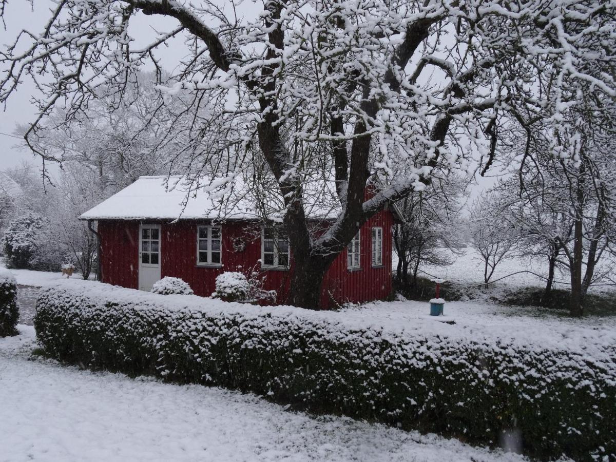 Hansenhof カッペルン エクステリア 写真